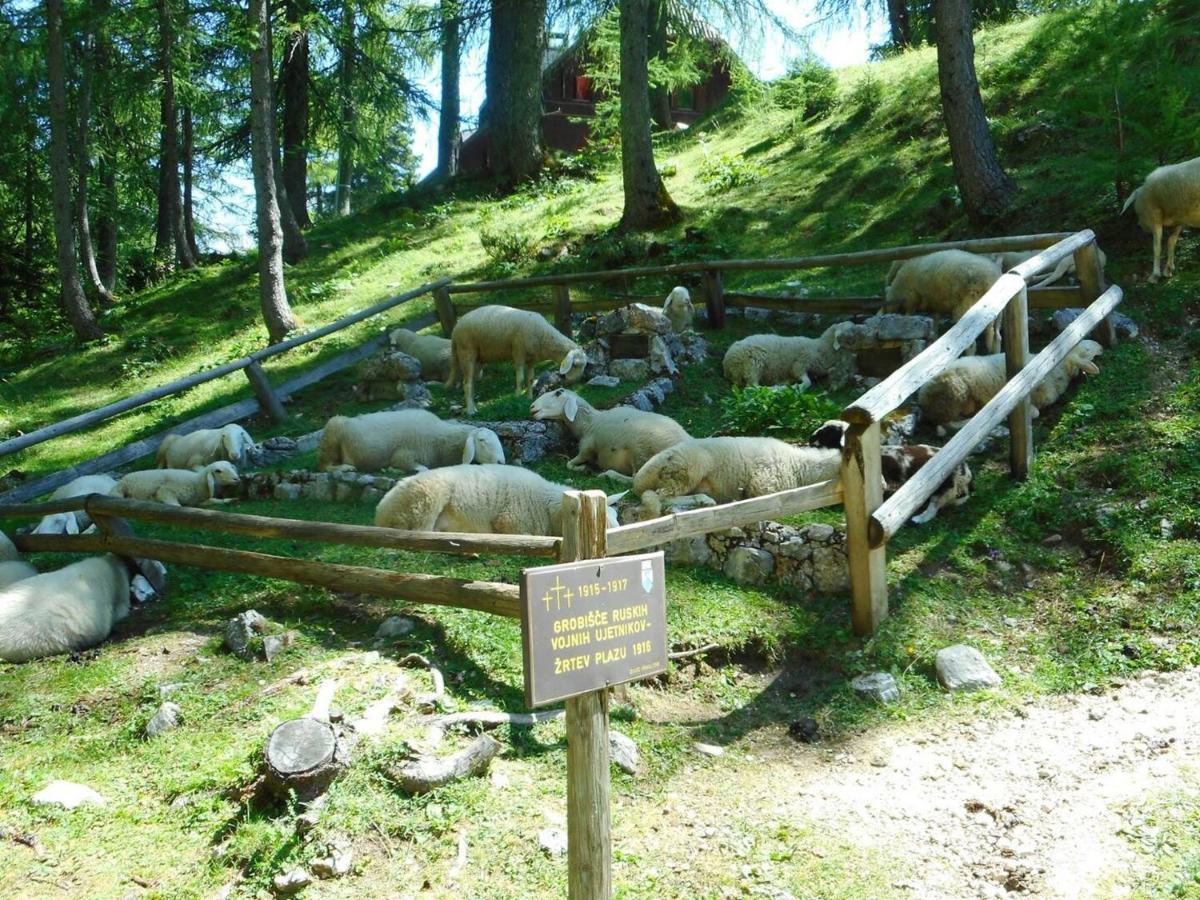 Erjavceva Mountain Hut At Vrsic Pass 호텔 크라니스카고라 외부 사진