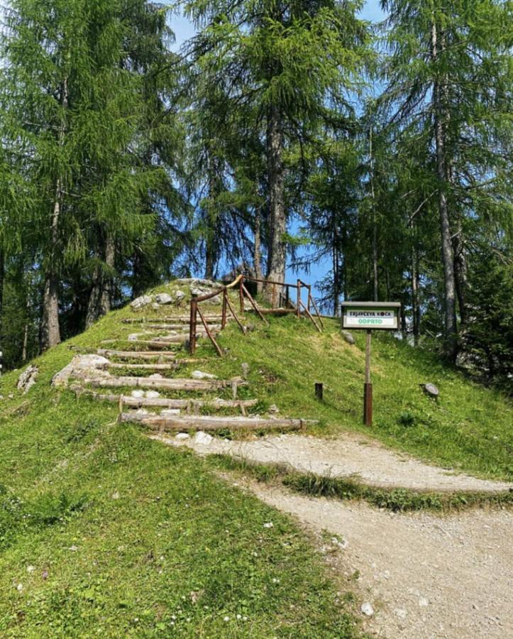 Erjavceva Mountain Hut At Vrsic Pass 호텔 크라니스카고라 외부 사진