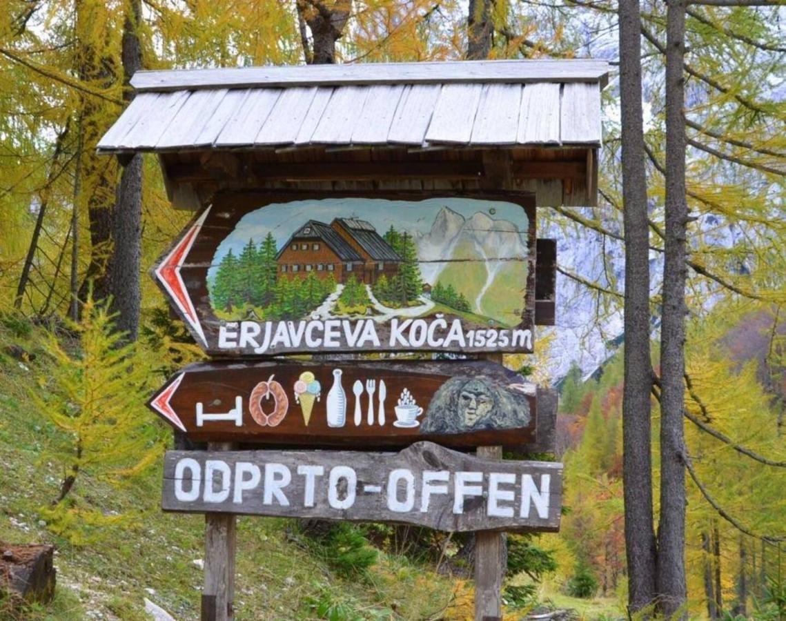 Erjavceva Mountain Hut At Vrsic Pass 호텔 크라니스카고라 외부 사진